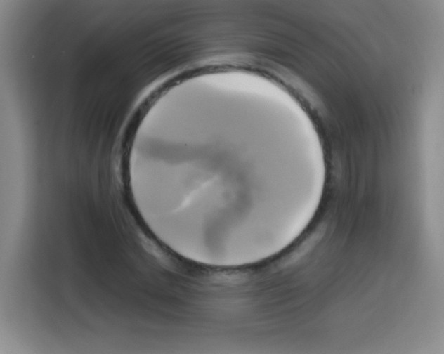 X0000112970830200910081044