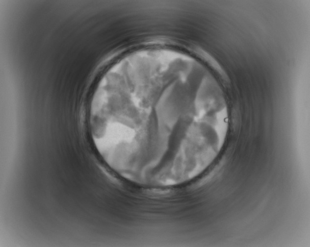 X0000112970831200910081044