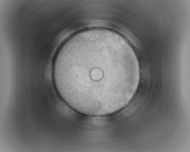 X0000112970832200910081044