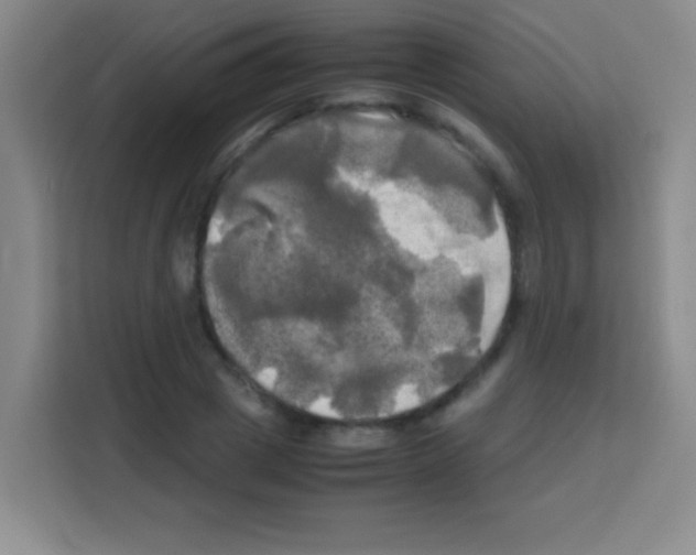 X0000112970833200910081044