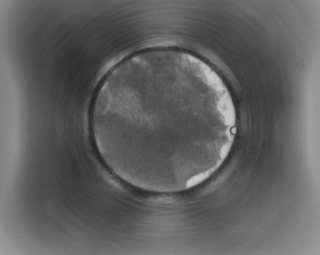 X0000112970834200910081044