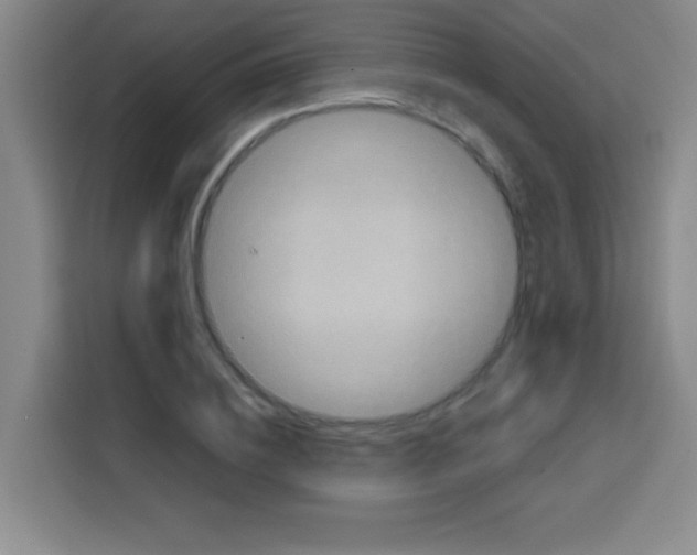 X0000112970836200910081044