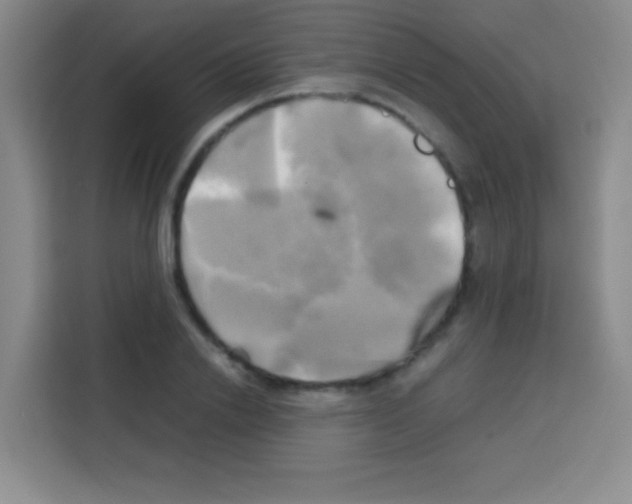 X0000112970838200910081044