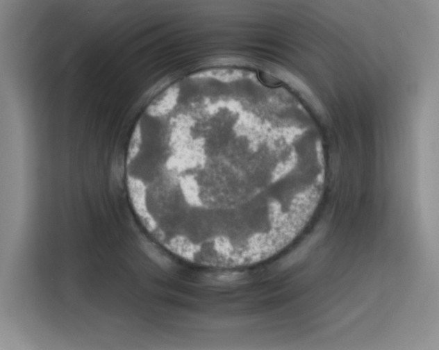 X0000112970841200910081044