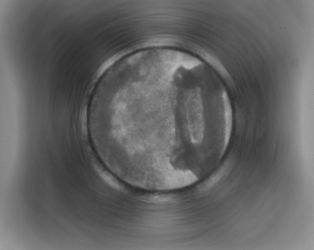 X0000112970842200910081044