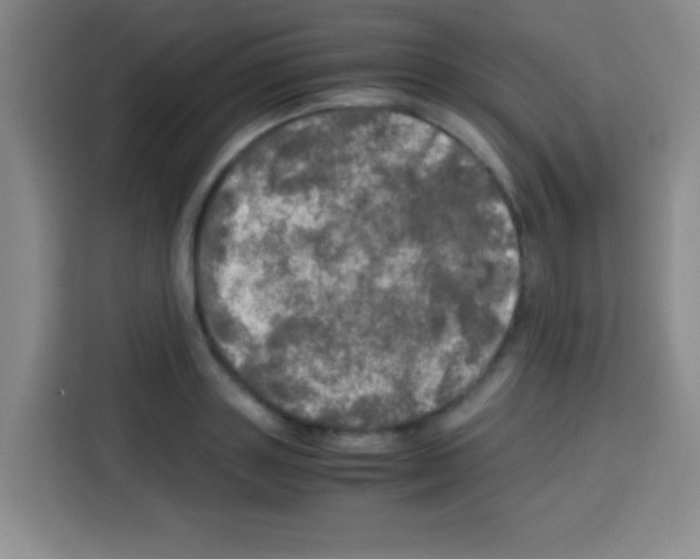 X0000112970843200910081044