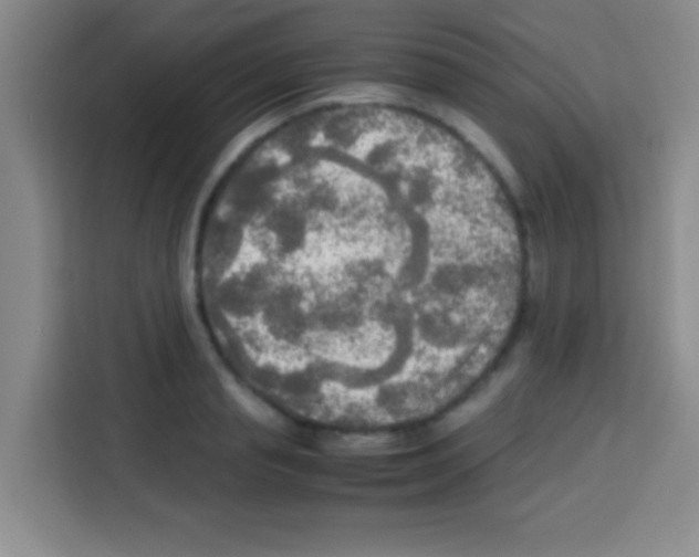 X0000112970845200910081044