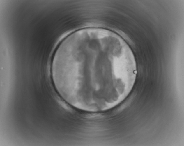 X0000112970846200910081044