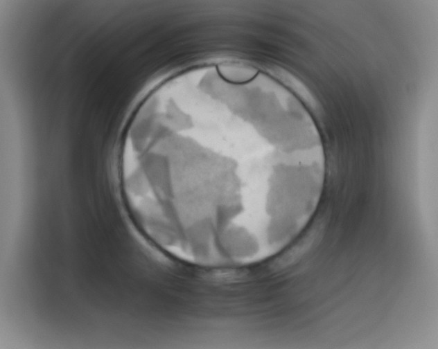 X0000112970847200910081044