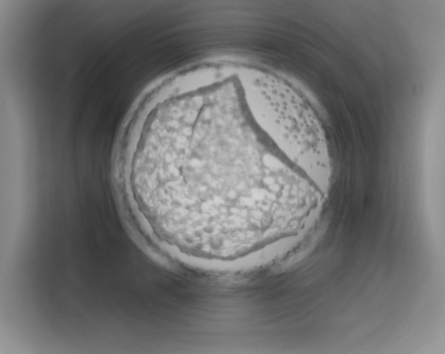 X0000112970848200910081044