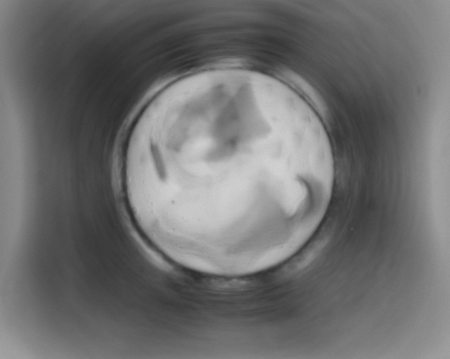 X0000112970851200910081044