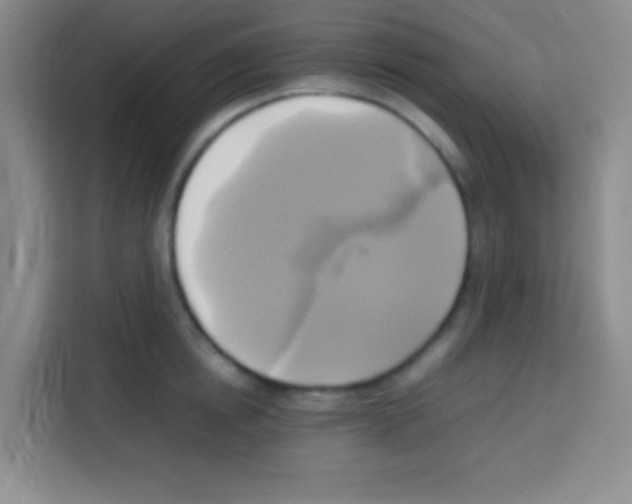 X0000112970854200910081044