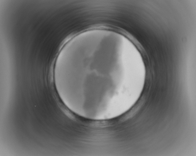 X0000112970858200910081044
