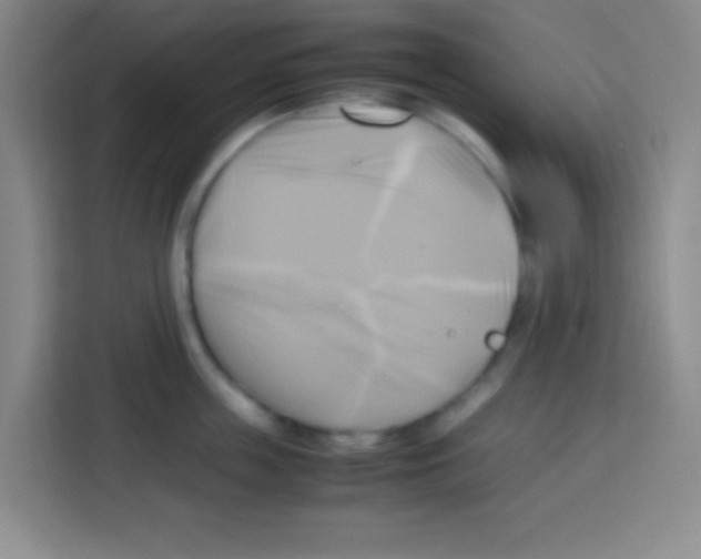 X0000112970859200910081044