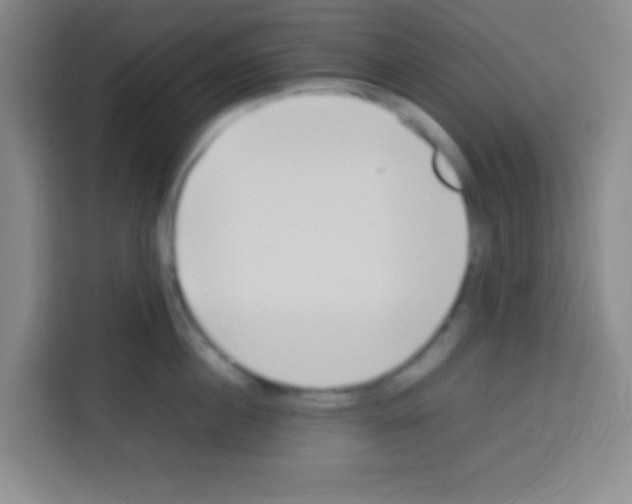 X0000112970860200910081044