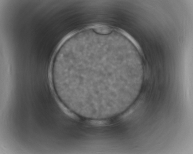 X0000112970861200910081044