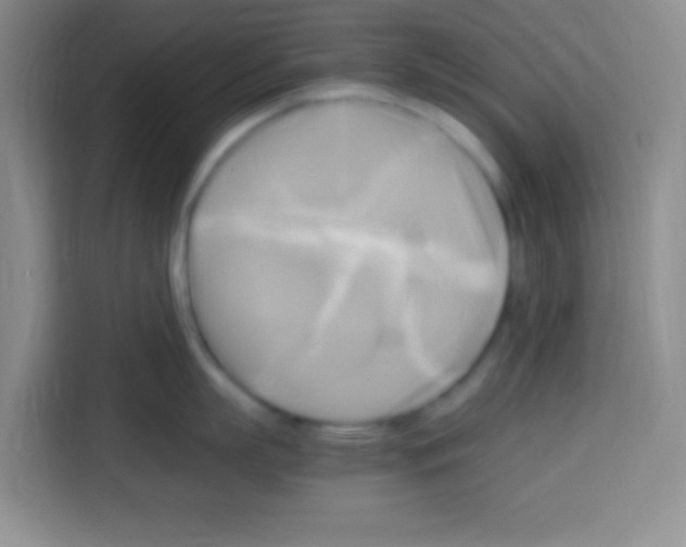 X0000112970863200910081044