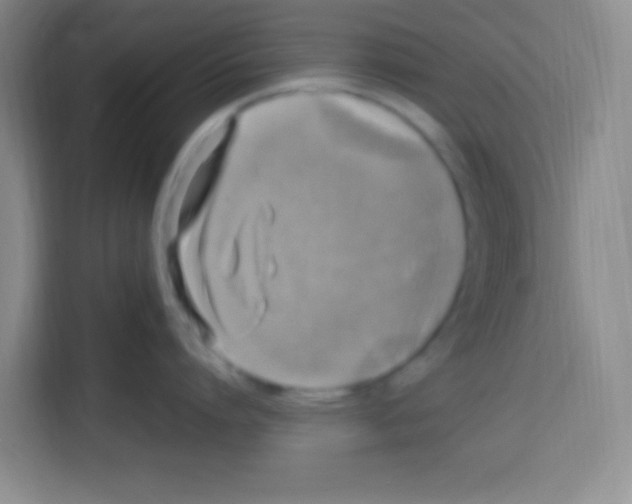 X0000112970864200910081044