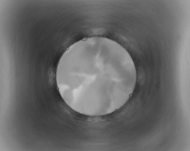 X0000112970866200910081043