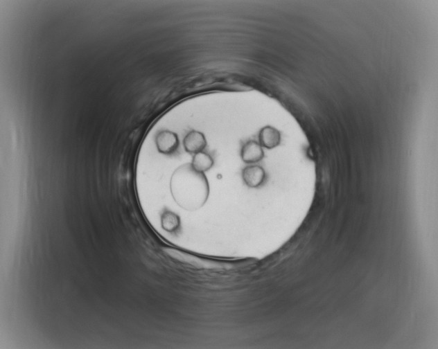 X0000112970868200910081043