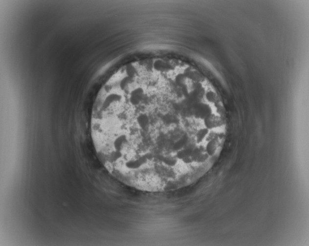 X0000112970871200910081043