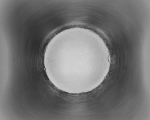X0000112970872200910081043