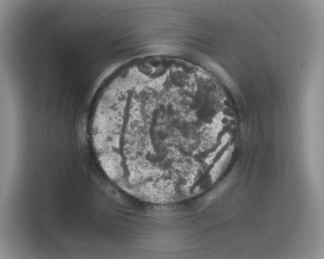 X0000112970875200910081043