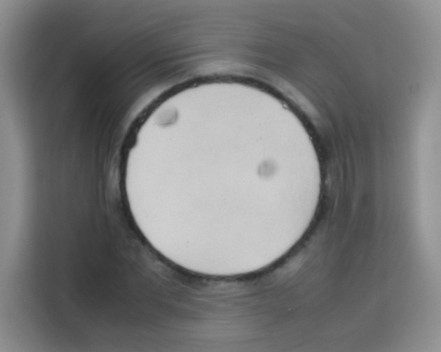 X0000112970877200910081043