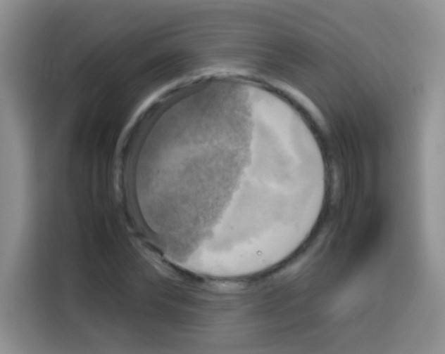 X0000112970878200910081043