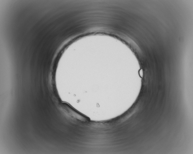 X0000112970880200910081043