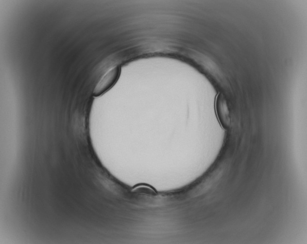 X0000112970881200910081043