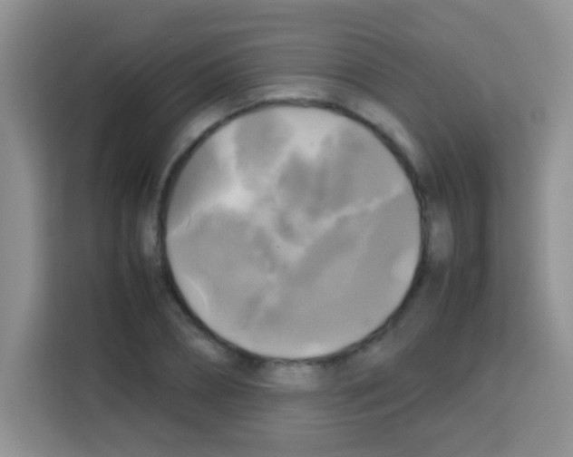 X0000112970882200910081043