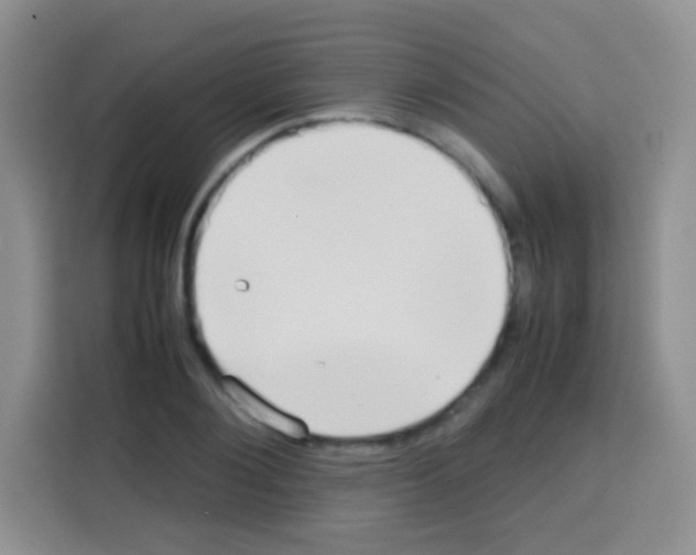 X0000112970884200910081043