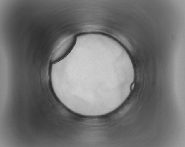 X0000112970885200910081043
