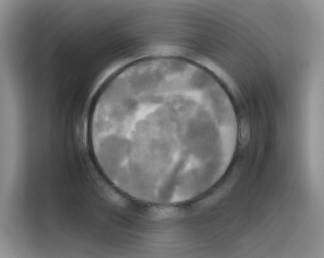 X0000112970886200910081043