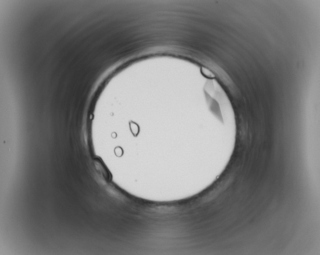 X0000112970888200910081043