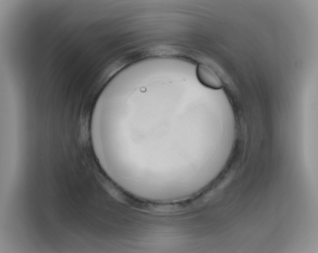 X0000112970889200910081043