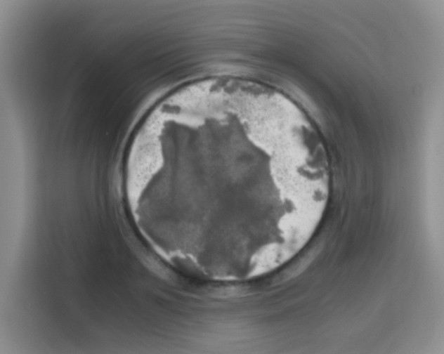 X0000112970891200910081043