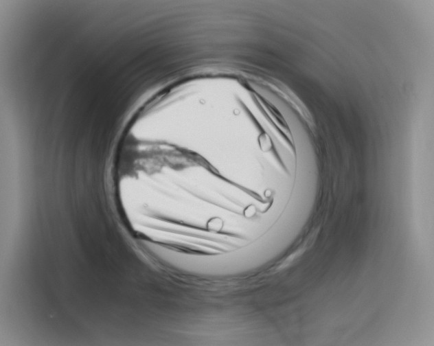 X0000112970893200910081043