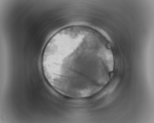 X0000112970895200910081043