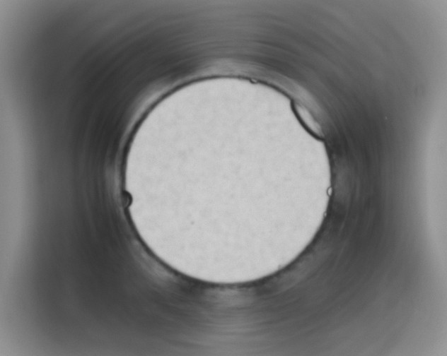 X0000112970896200910081043