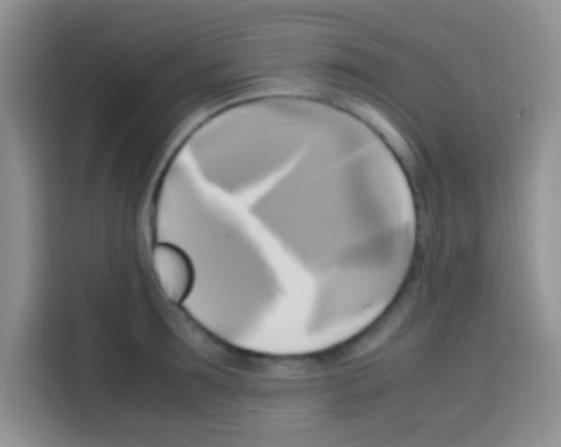 X0000112970899200910081043