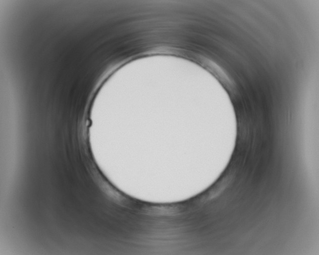 X0000112970900200910081043