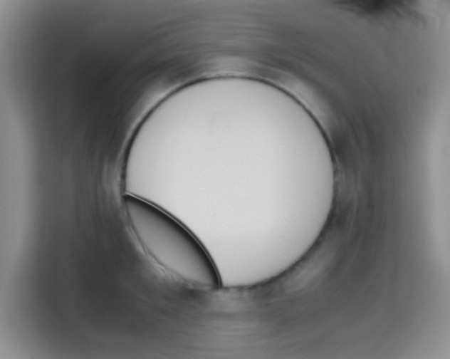X0000112970901200910081043