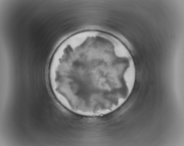 X0000112970903200910081043