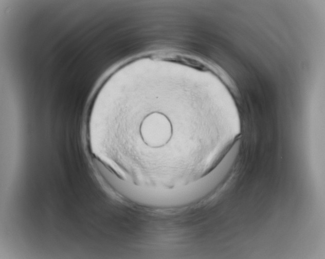 X0000112970904200910081043