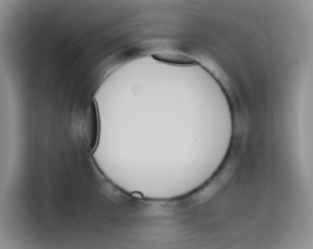 X0000112970905200910081043