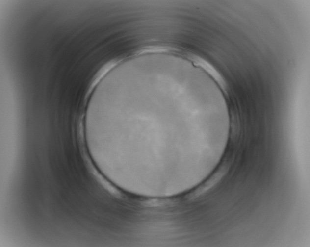 X0000112970906200910081043