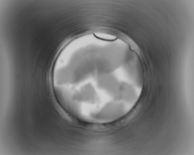 X0000112970907200910081043