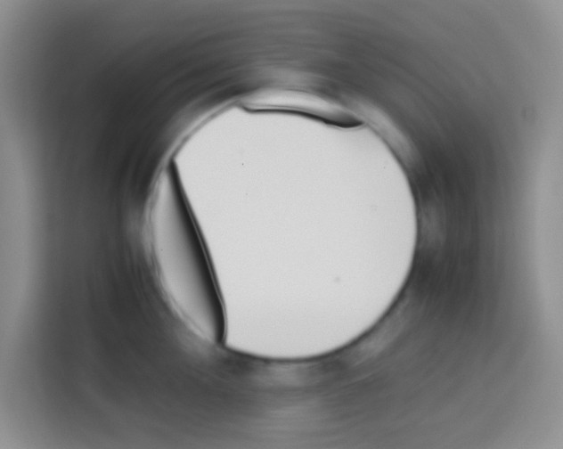 X0000112970908200910081043